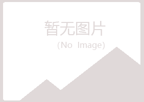 青河县字迹木材有限公司